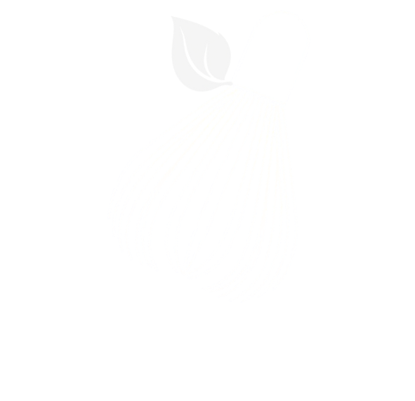 MatchaMo